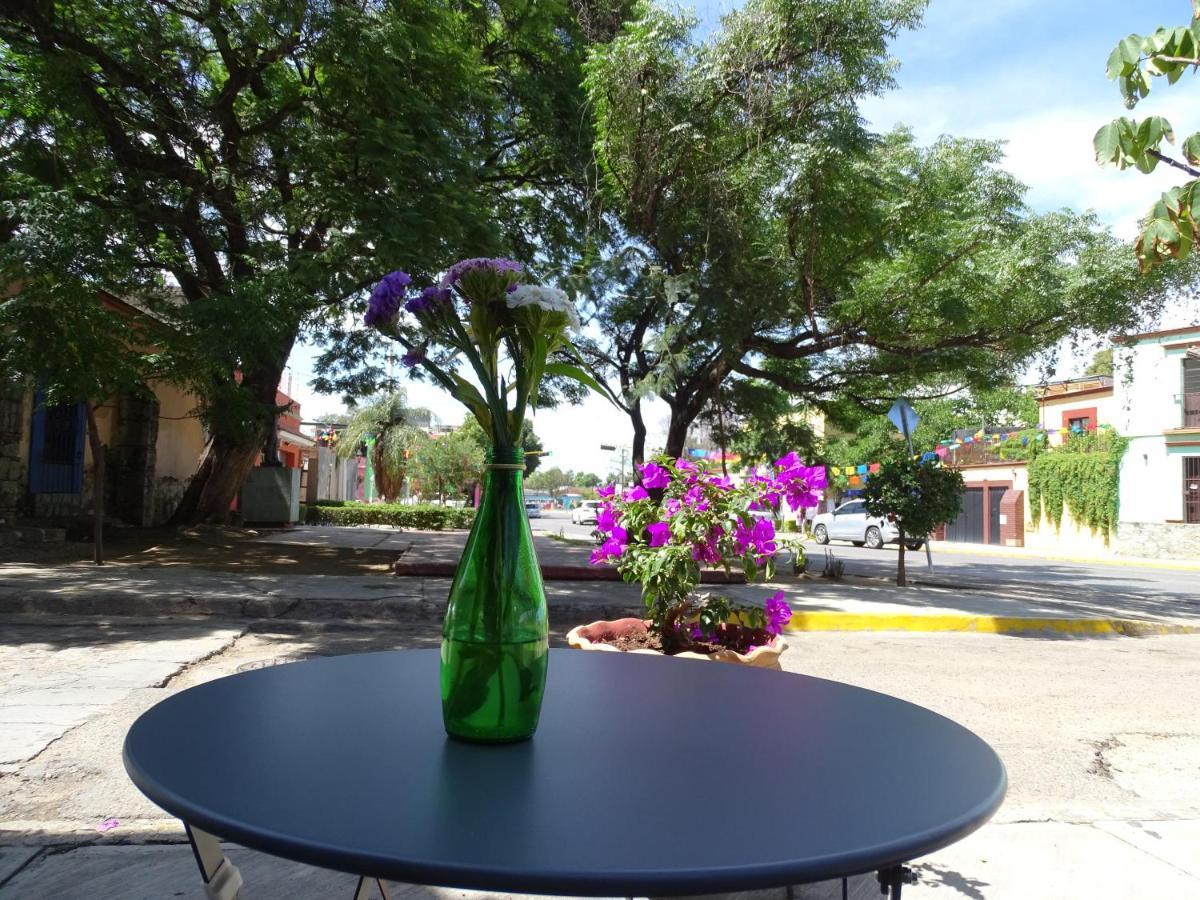 Alojamiento Jalatlaco - Car Rental! Estacionamiento En La Calle Sujeto A Disponibilidad Oaxaca Εξωτερικό φωτογραφία